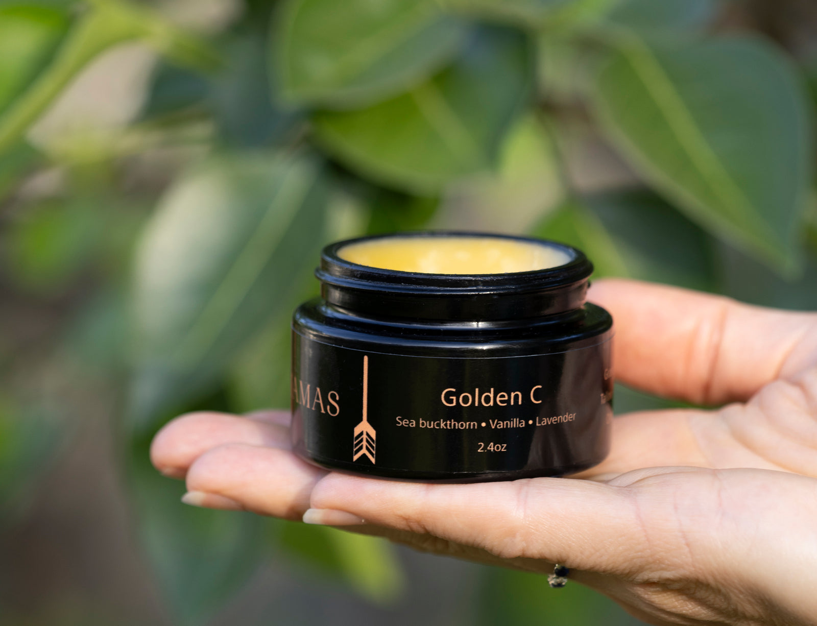 Golden C 2.4 oz- Wild Bison Tallow Balm