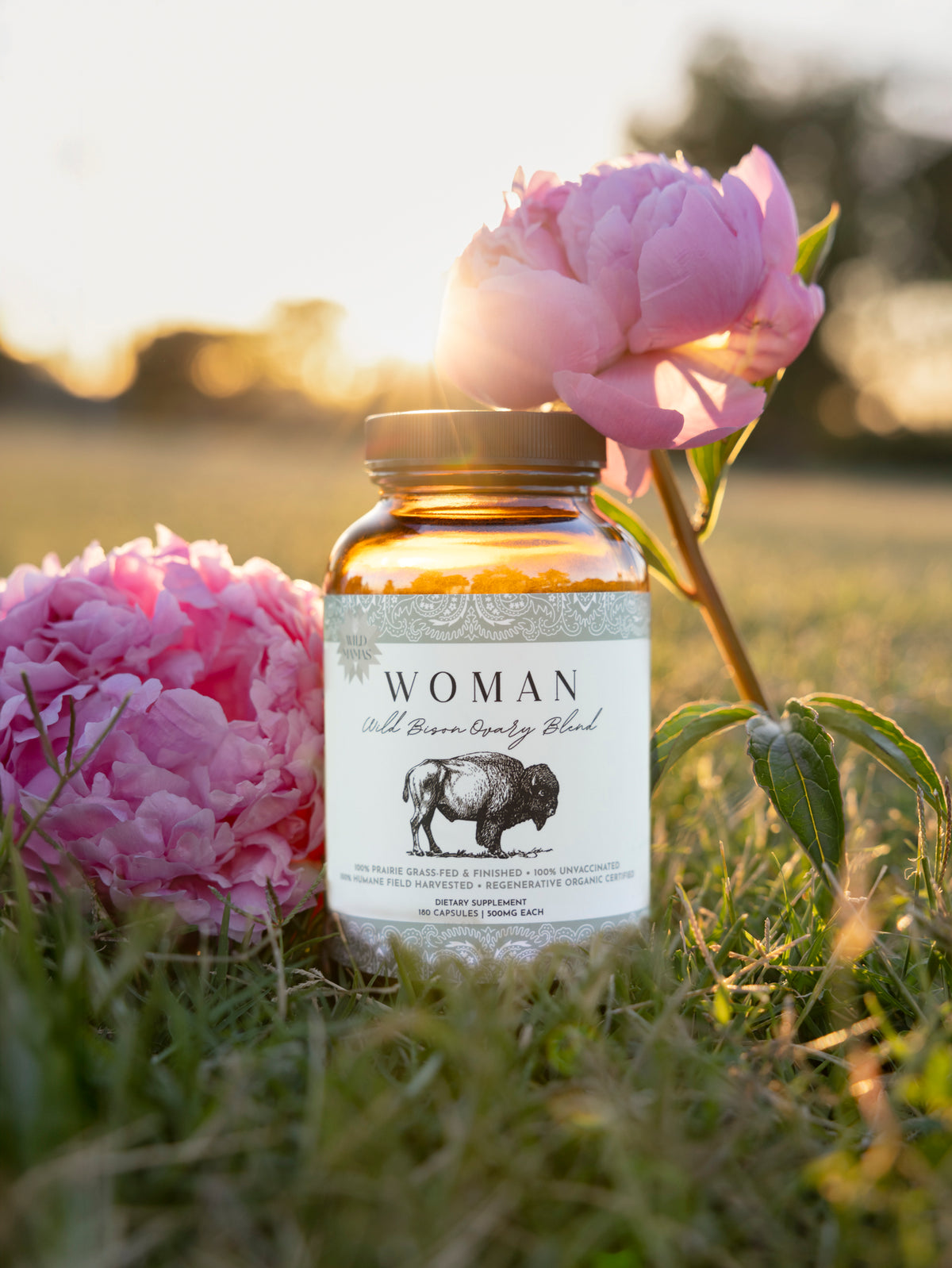 Woman- Wild Bison Ovary Blend