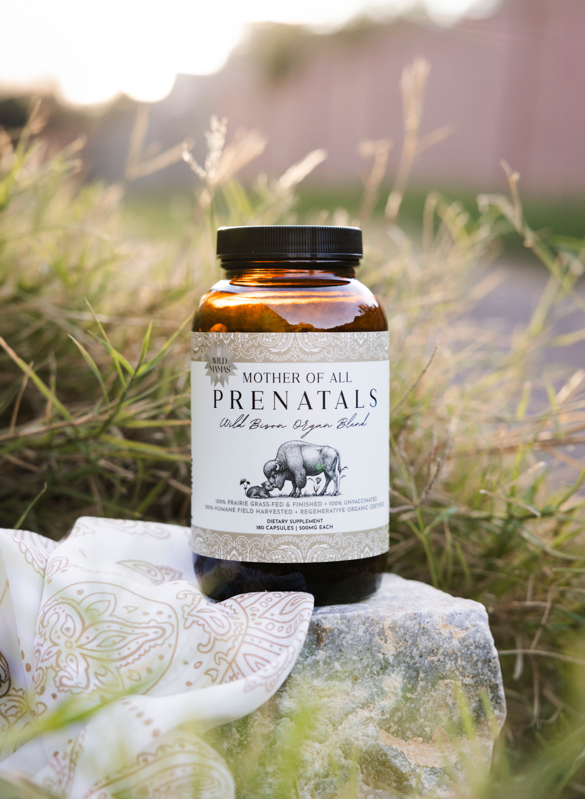 Mother of All Prenatals