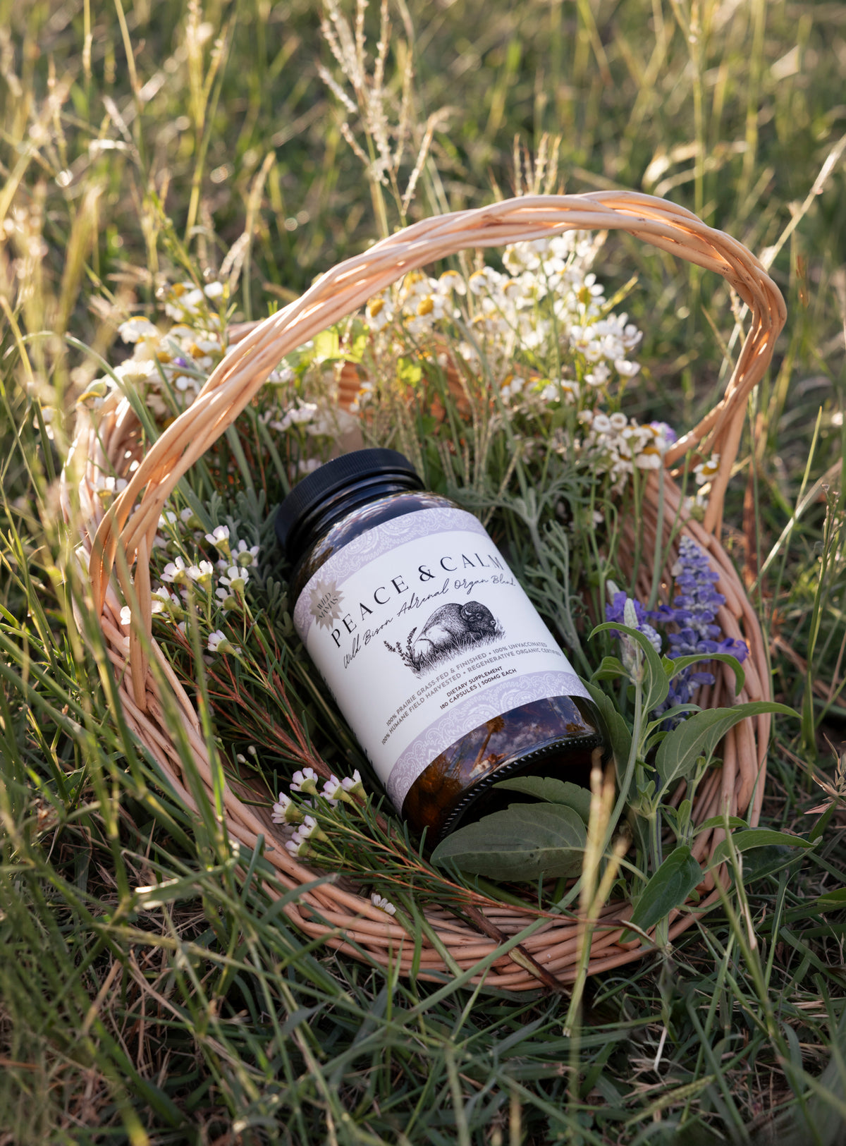 Peace and Calm- Wild Bison Adrenal Organ Blend