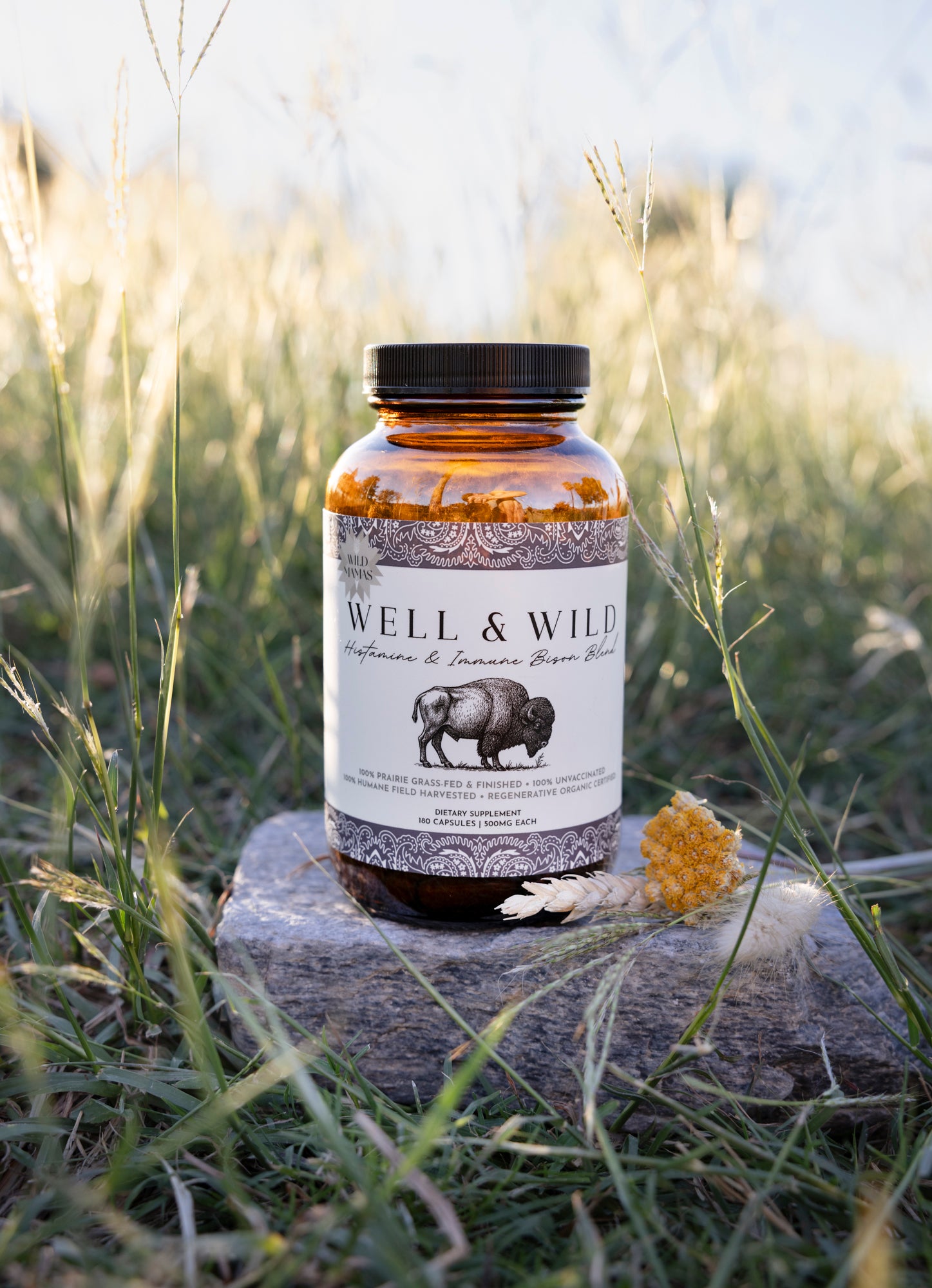 Well and Wild- Histamine and Immune Bison Organ Blend