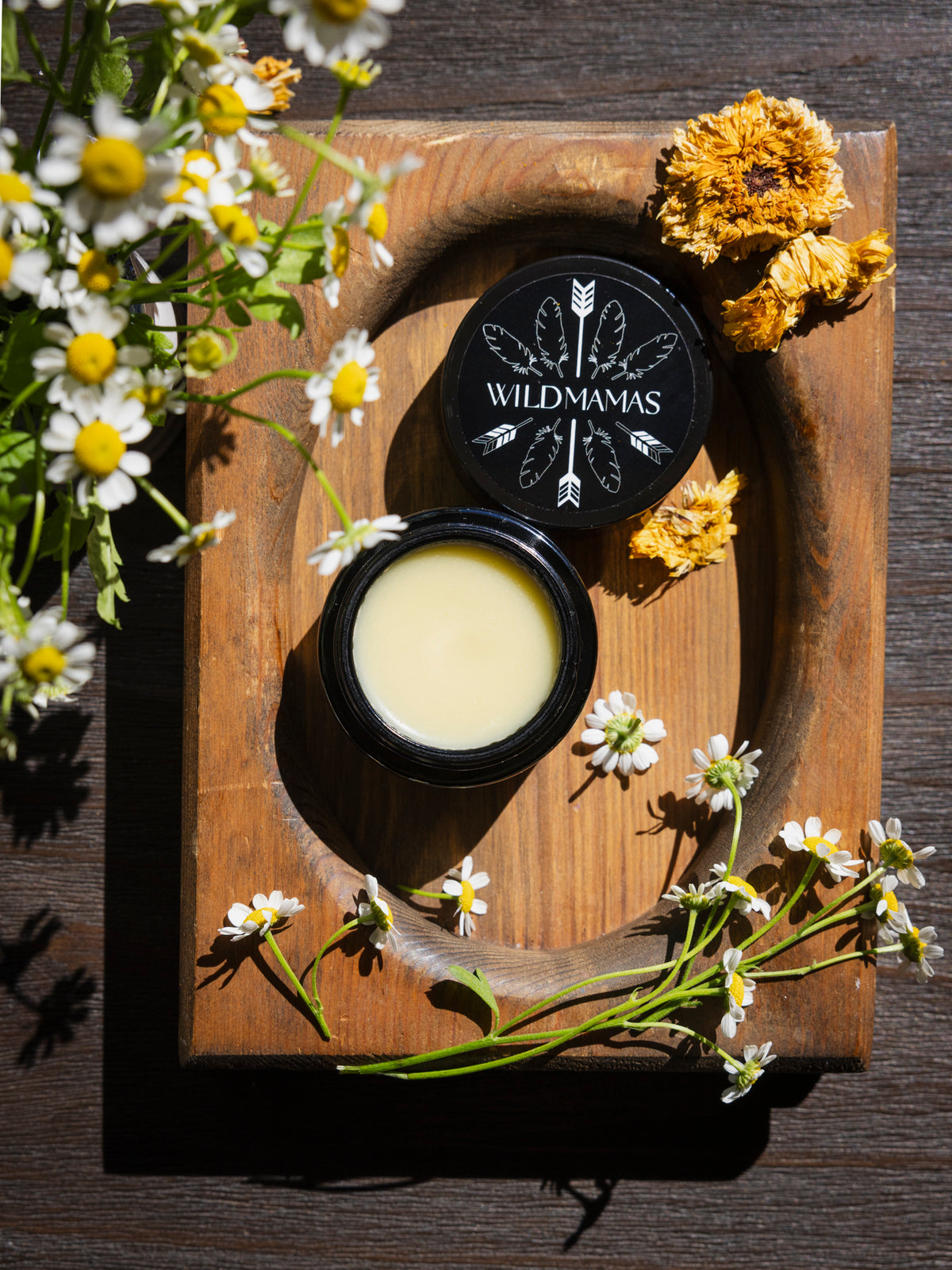 Baby- Wild Bison Tallow Balm