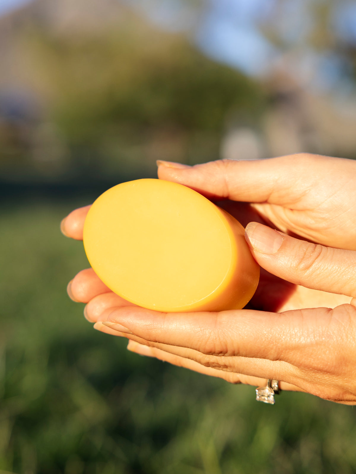 Sea Buckthorn- Wild Bison Tallow Soap