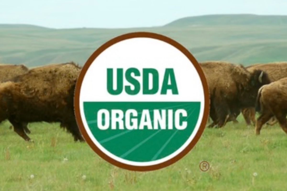 New! Family Multi-Wild Bison Organ Blend