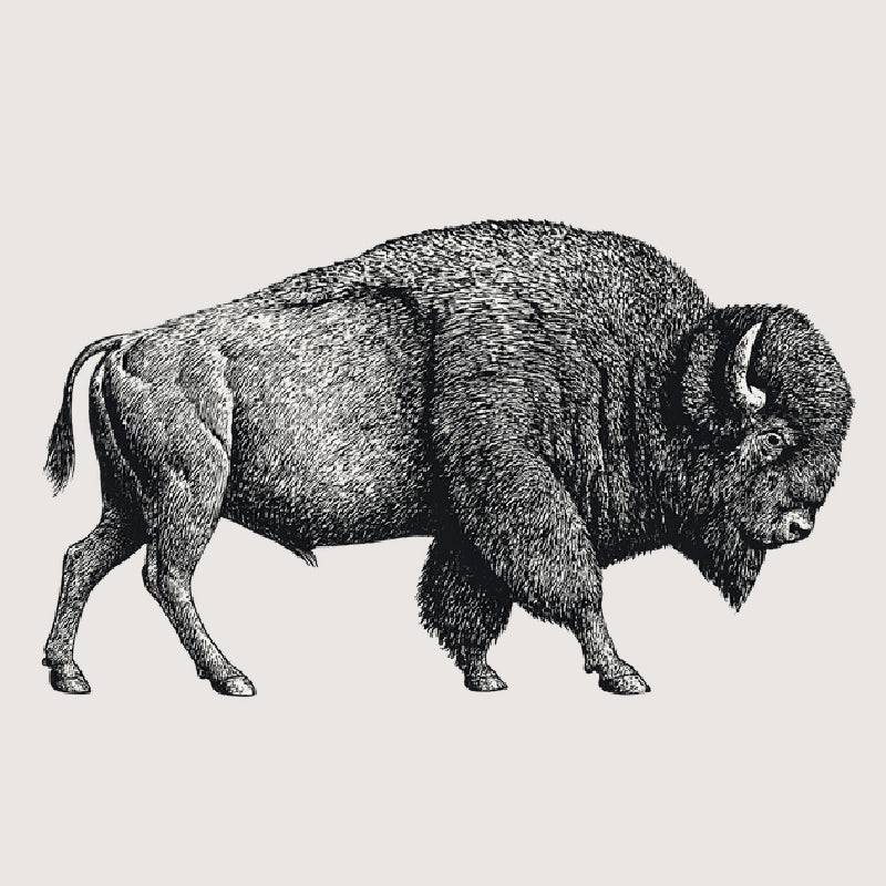 Wild Mamas Body Care