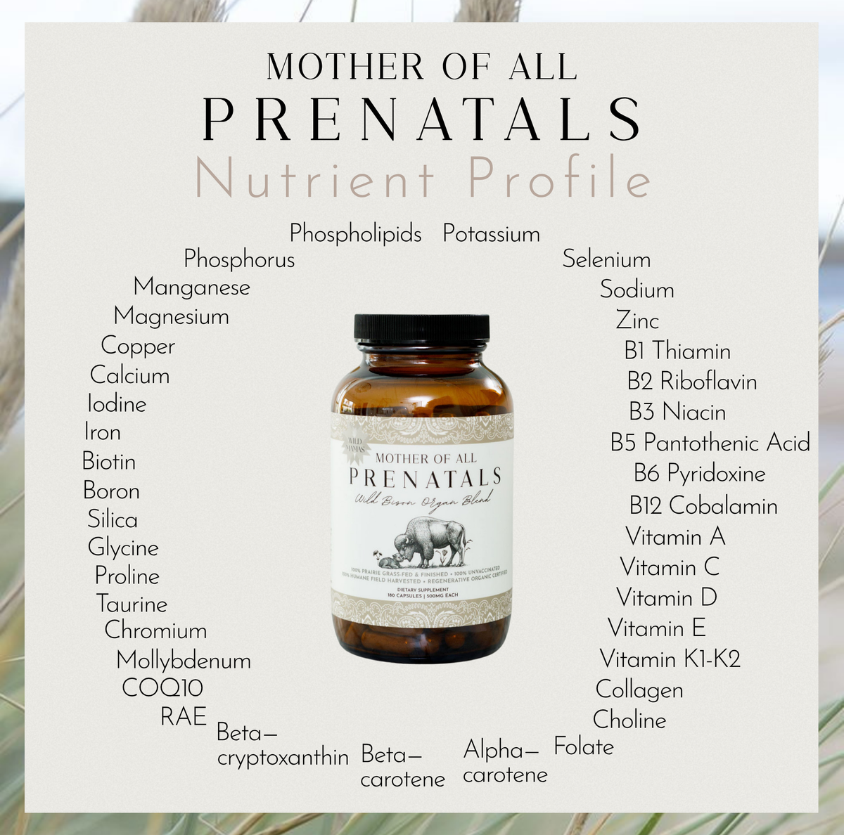 Mother of All Prenatals