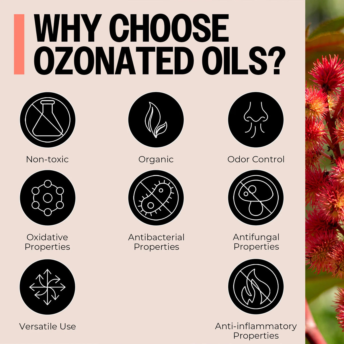 Olive &amp; Castor Oil Ozone Suppositories - PurO3 30ct.