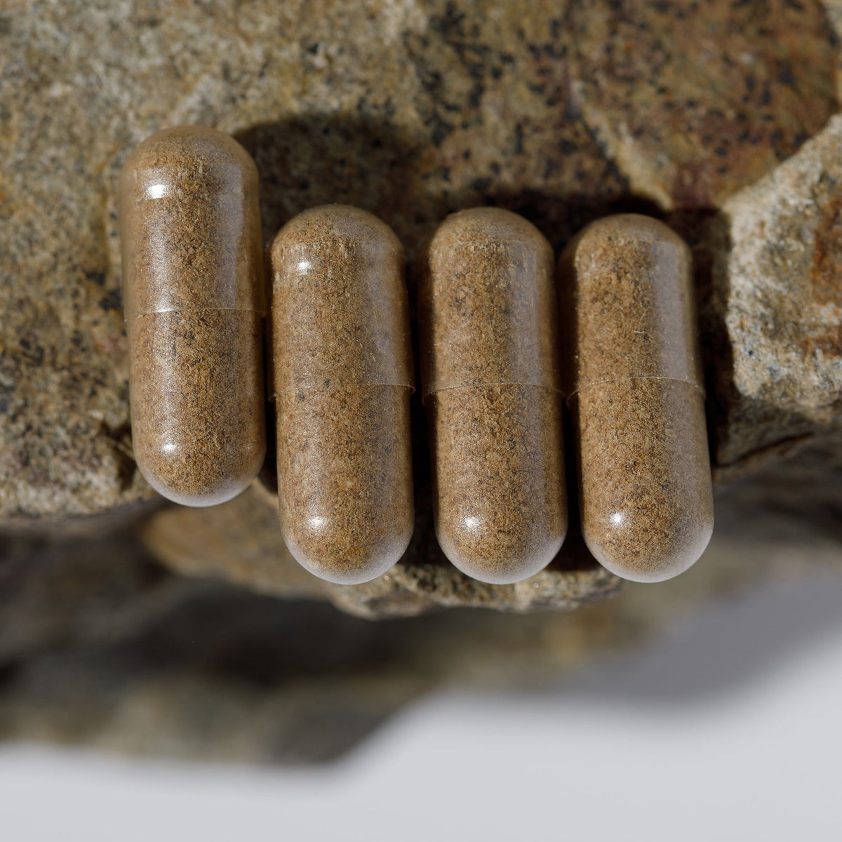 WILD MAMAS FERTILITY + PRENATAL STACK