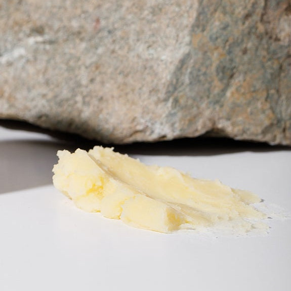 Wildly Nourishing Bison Tallow Balm - HONEY BEE (Raw Honey)