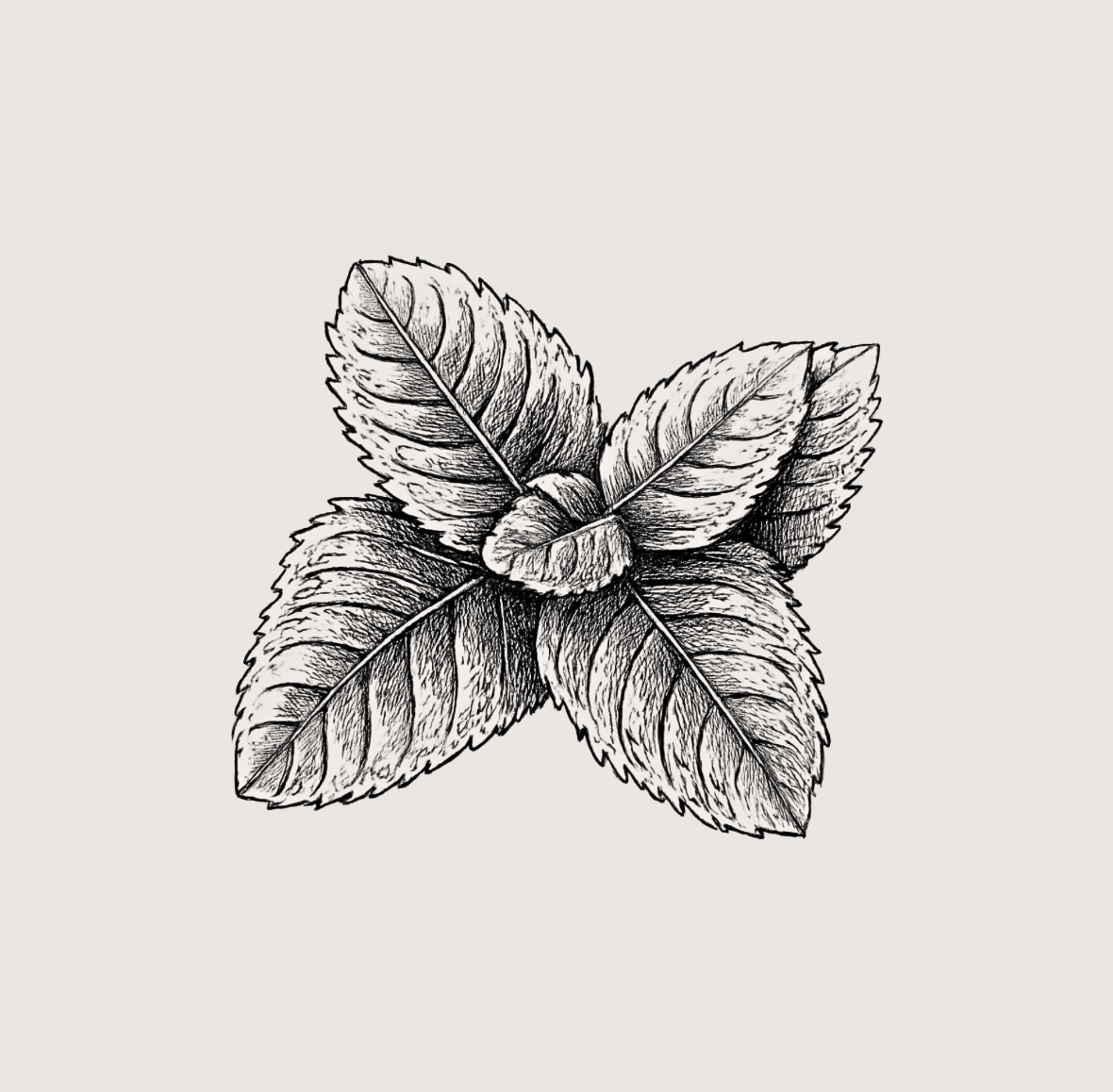 Wild Mamas Sinus Spray