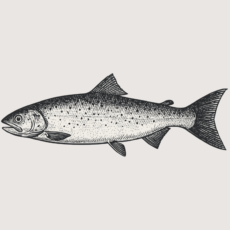 Wild Mamas Salmon Roe